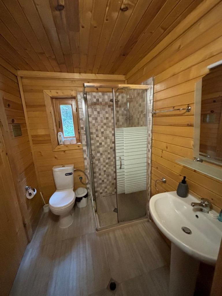 Chalet Sofia Μπόροβετς Εξωτερικό φωτογραφία
