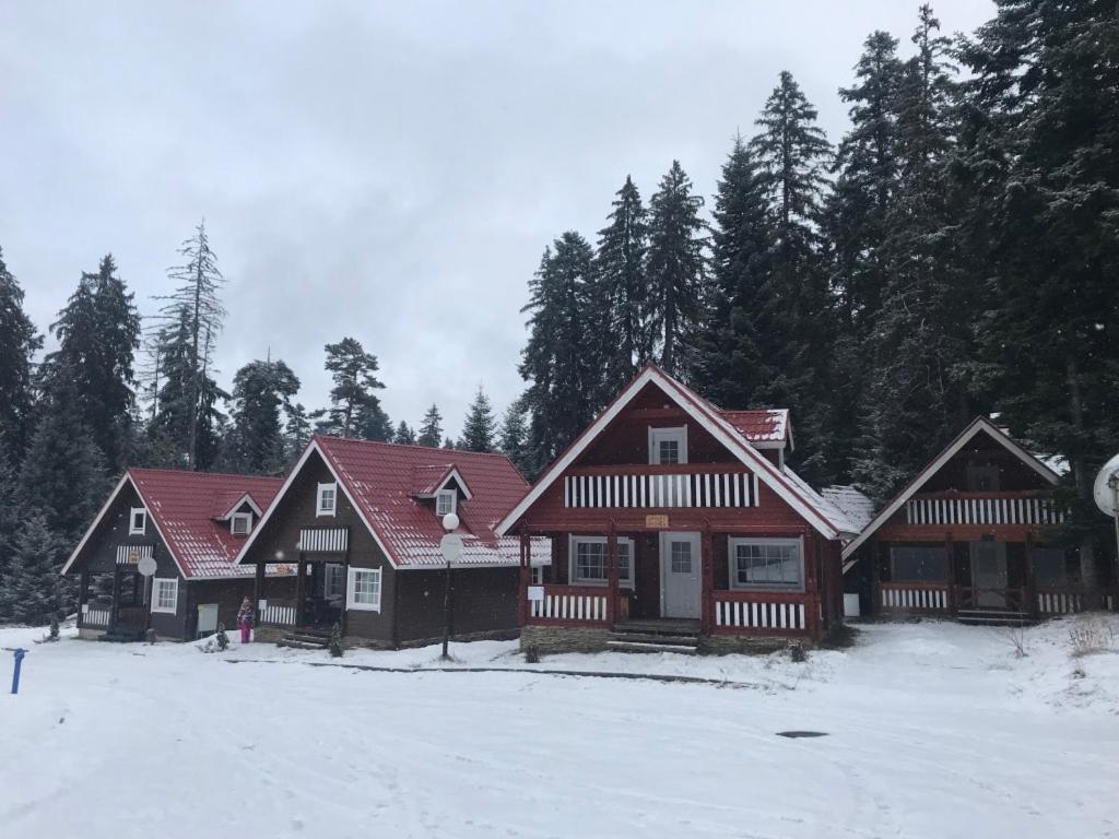 Chalet Sofia Μπόροβετς Εξωτερικό φωτογραφία