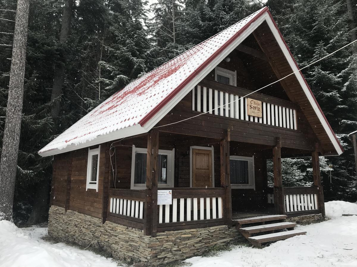 Chalet Sofia Μπόροβετς Εξωτερικό φωτογραφία
