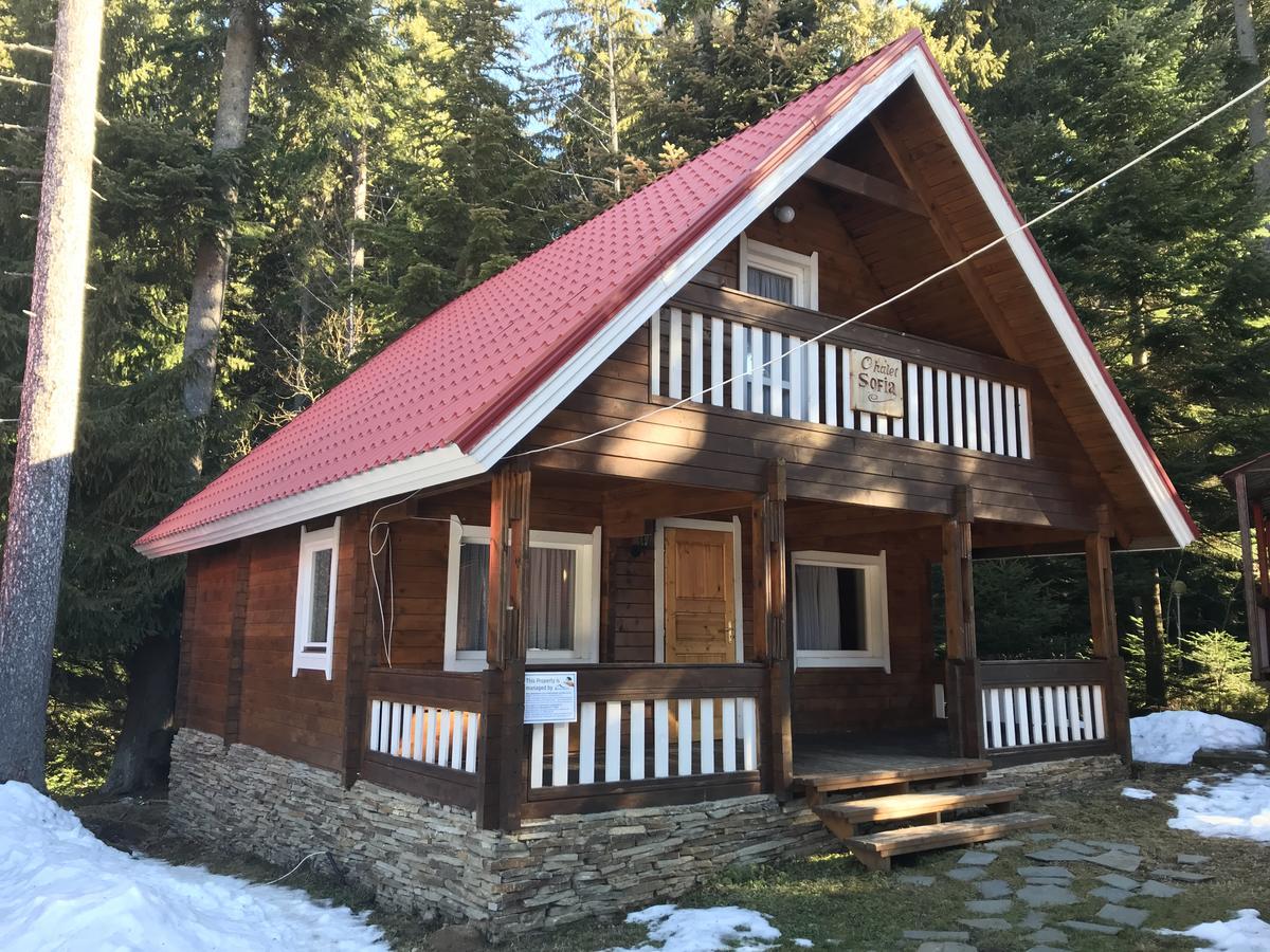 Chalet Sofia Μπόροβετς Εξωτερικό φωτογραφία